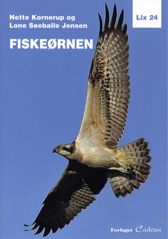 Fiskeørnen