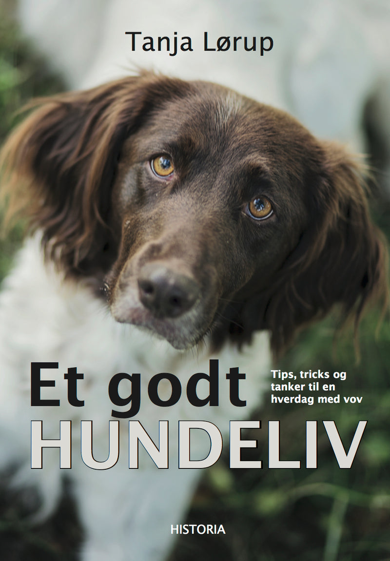 Et godt hundeliv