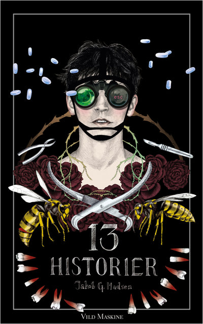 13 HISTORIER