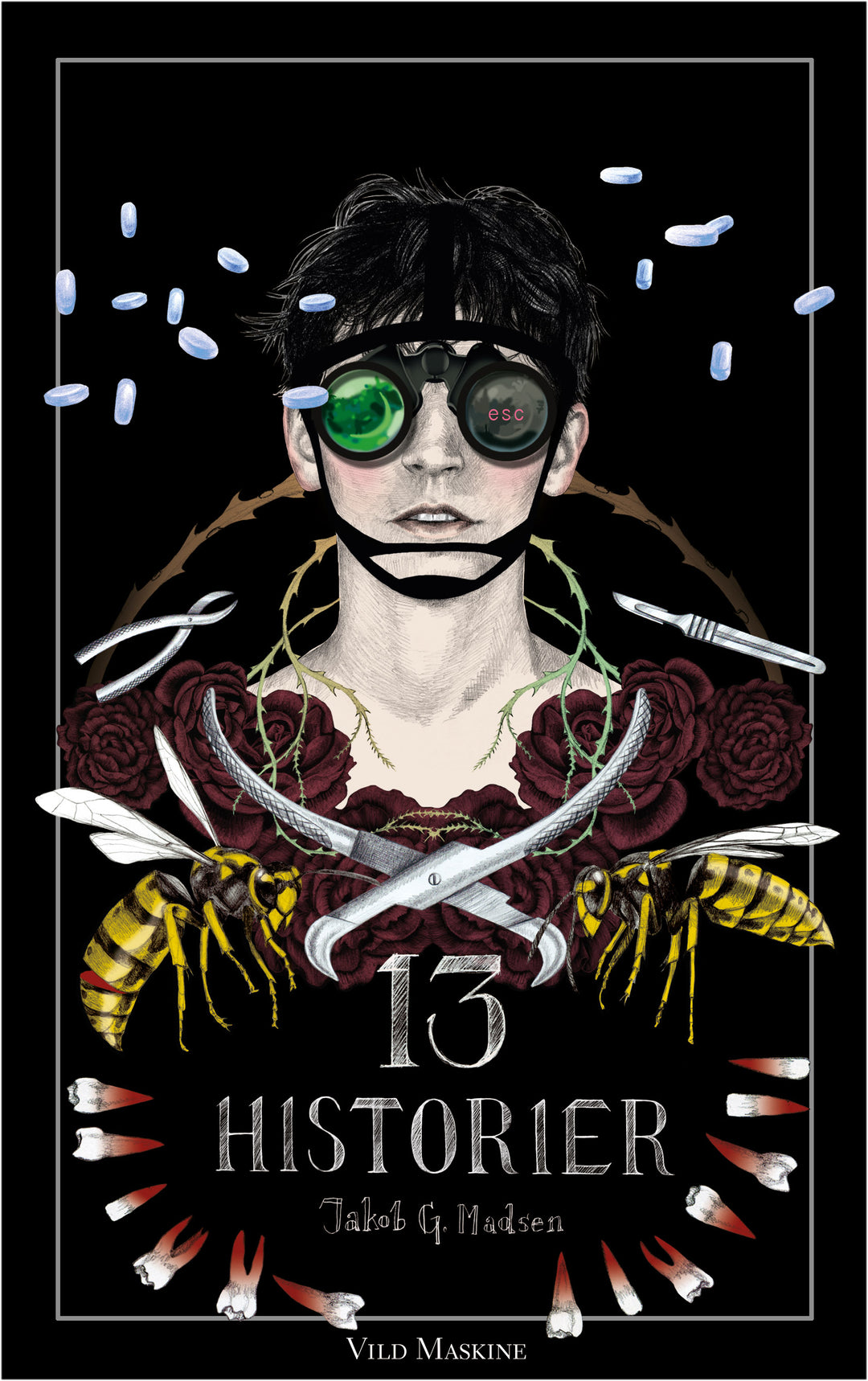13 HISTORIER