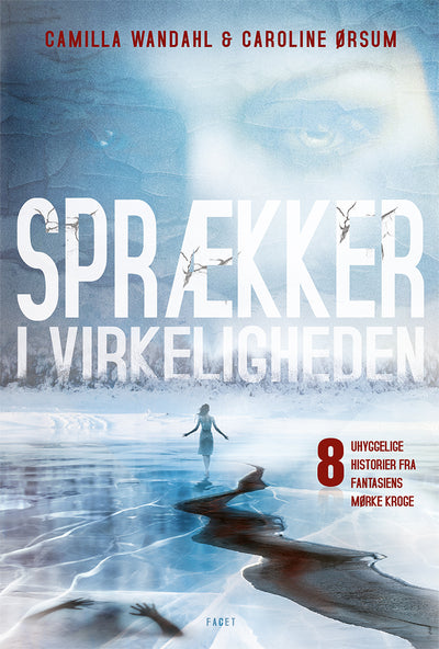 Sprækker i virkeligheden