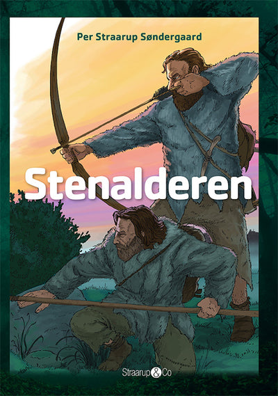 Stenalderen