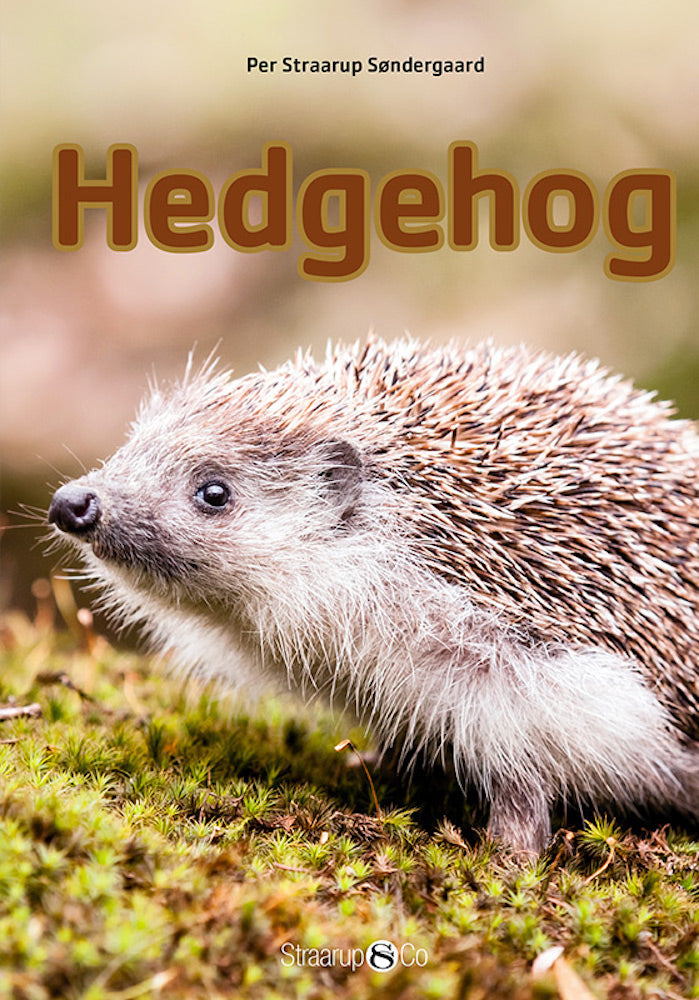 Hedgehog