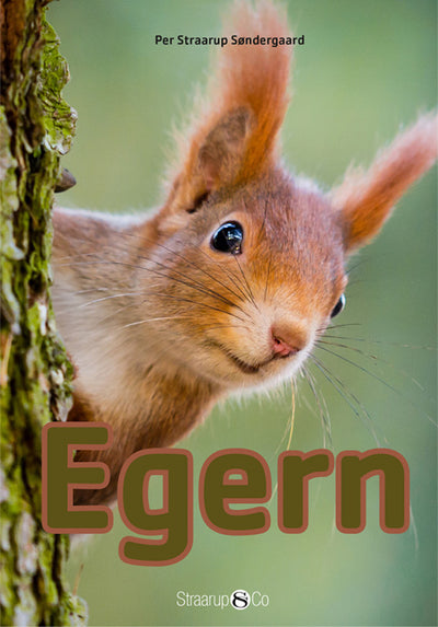 Egern