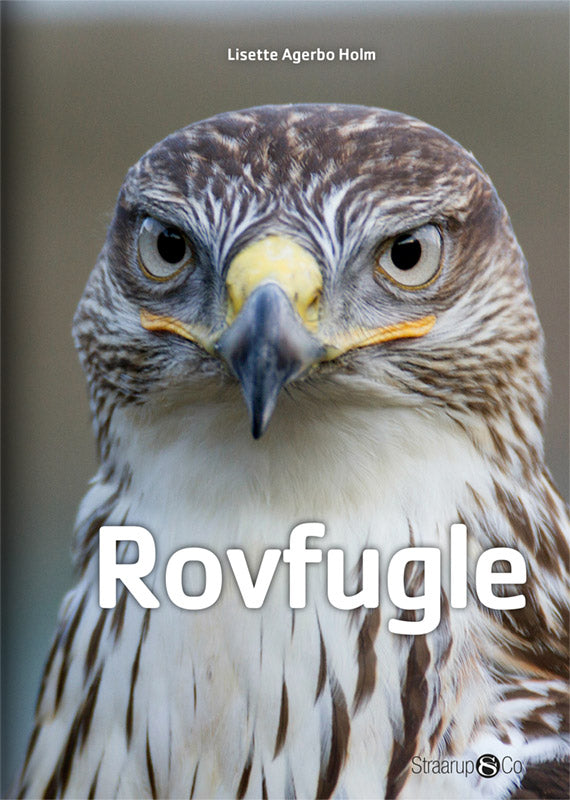 Rovfugle