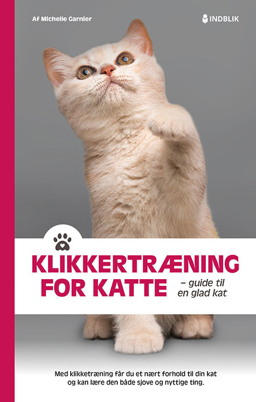 Klikkertræning for katte