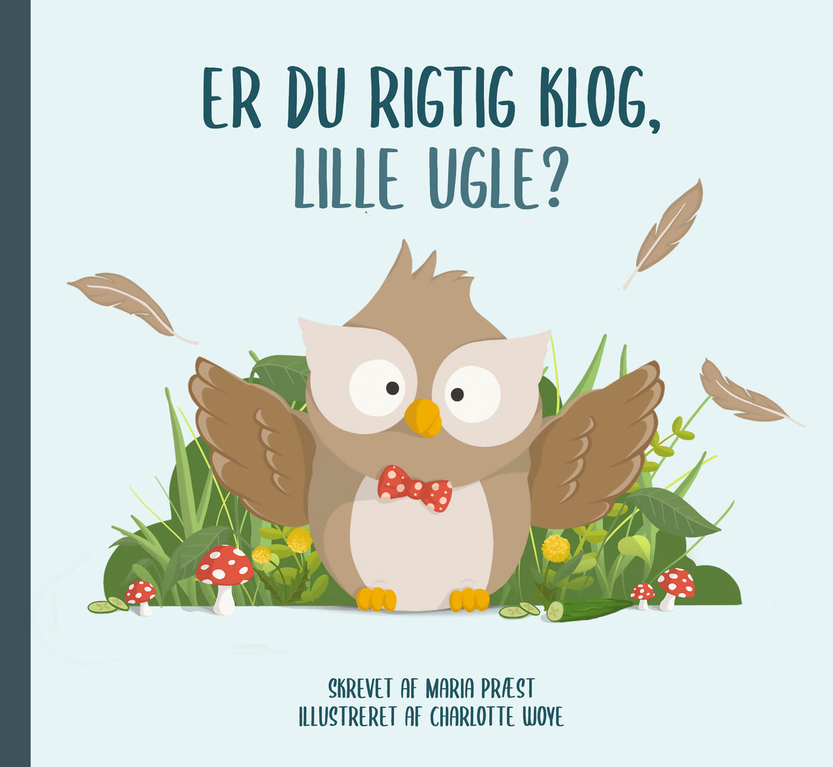 Er du rigtig klog, Lille Ugle?