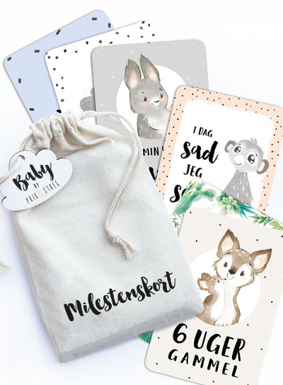 Milepælskort til baby