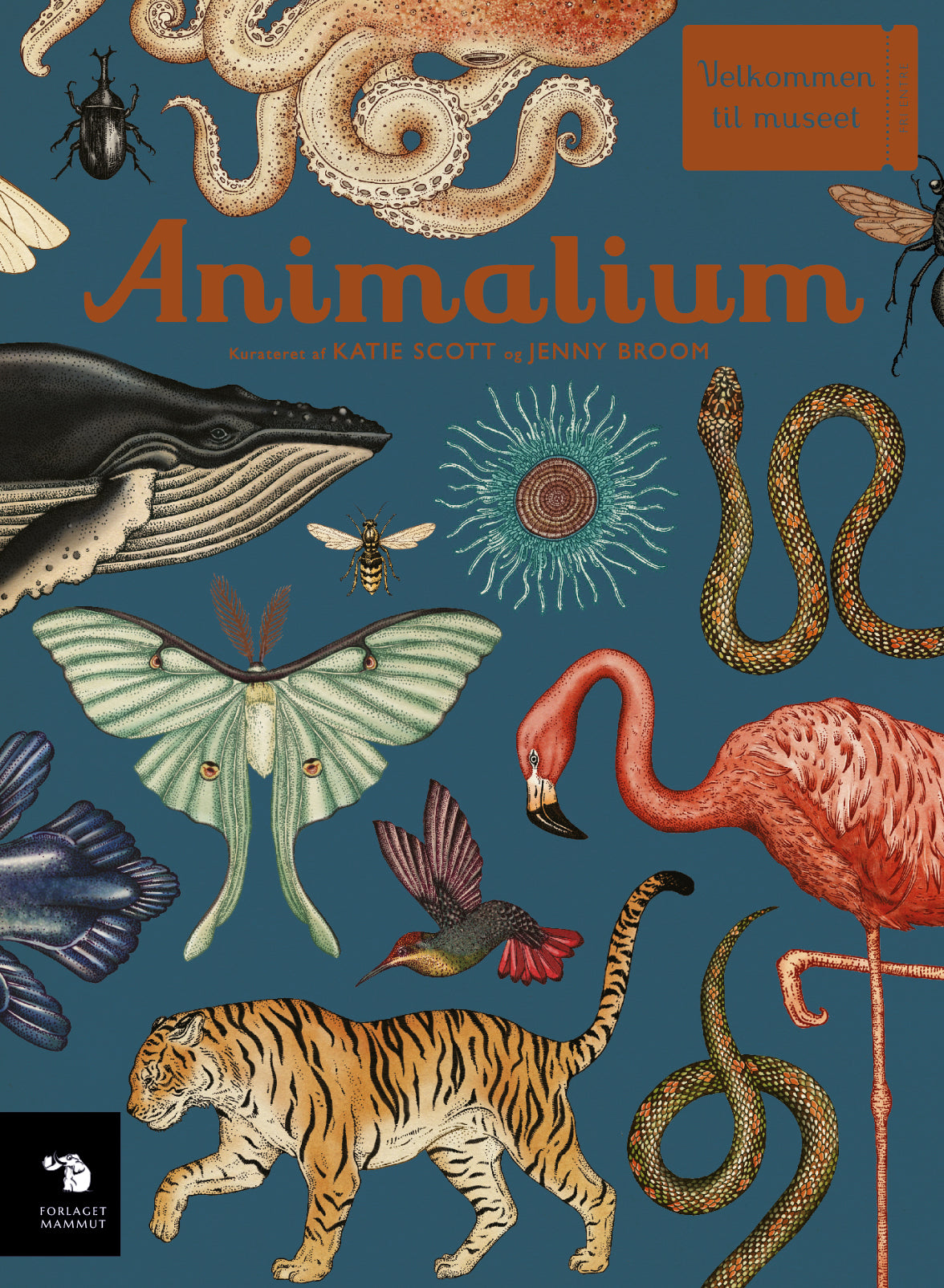 Animalium