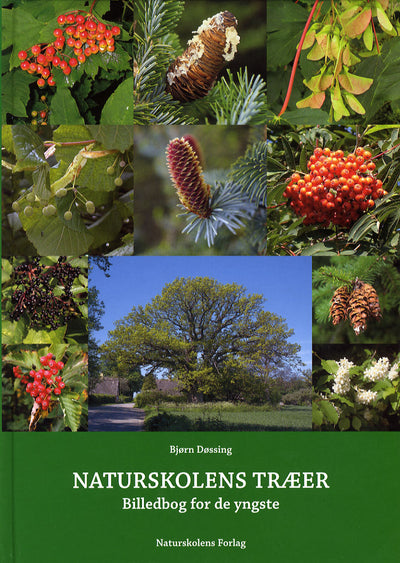 Naturskolens træer